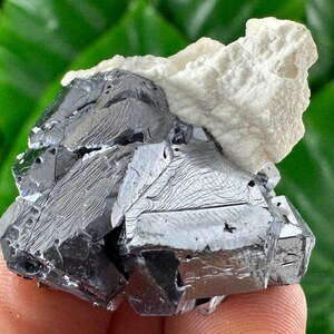 May include: A close-up of a mineral specimen featuring a cluster of dark, metallic gray galena crystals with a white, textured calcite formation. The crystals have a reflective, geometric structure.