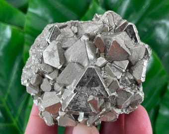 May include: A cluster of pyrite crystals, also known as fool's gold, with a metallic silver color. The crystals have a geometric, angular shape and are clustered together. The background is a blurred green.