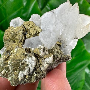 Beautiful Quartz  with Chalcopyrite from Krushev Dol mine,Madan,Bulgaria,Mineral Specimen,Home Decor,Golden Crystal,Chalcopyrite,