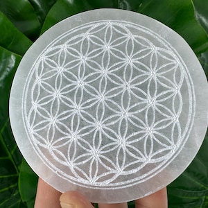 Puede incluir: Una placa redonda de selenita blanca con un patrón de Flor de la Vida tallado. La placa se sostiene contra un fondo de hojas verdes. El diseño de la Flor de la Vida es un patrón geométrico de círculos superpuestos.