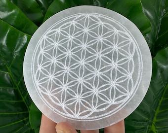 May include: A round, white selenite plate with a carved Flower of Life pattern. The plate is held against a backdrop of green leaves. The Flower of Life design is a geometric pattern of overlapping circles.