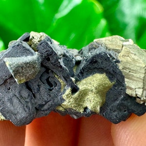 May include: A cluster of pyrite crystals with a metallic gold color and a black, rough surface. The crystals are clustered together in a natural formation.