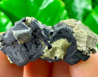 Galena con pirita y calcopirita de la mina Borieva, Madan, Bulgaria, Muestra, Grupo, Cristal natural, Colección, Coleccionistas, Morfología