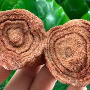 Large Stromatolite from Morocco,Raw Stromatolite Fossil,rough fossilized algae for grounding and meditation,Moroccan Fossil, N1