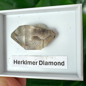 Pode incluir: Um cristal de diamante Herkimer, exibido numa bandeja branca. O cristal é um quartzo transparente de dupla terminação com uma textura natural e áspera e um tom castanho claro. A etiqueta abaixo diz "Herkimer Diamond".