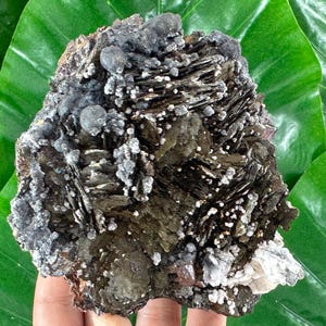 Very rare Boulangerite on Rhodochrosite on Pyrrhotite,Calcite from Trepca,Kosovo,Large Pyrrhotite,Pyrrhotite Collectors,N552