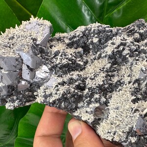 Incredible Galena with Calcite,Sphalerite and Quartz from Krushev dol mine,Madan,Bulgaria,Mineral,Mineral Collection,Crystal collect N524