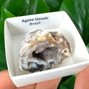 Op de afbeelding: Een bruine en witte agaatgeode met een hol centrum. De geode bevindt zich in een witte doos met het label "Agate Geode Brazilië".