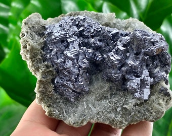 May include: A cluster of dark gray, metallic, cubic crystals on a bed of white and gray, fibrous crystals.