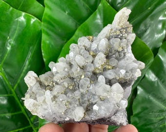 クルシェフ・ドル鉱山産の素晴らしい方解石入りクォーツ、マダン