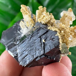 Amazing Sphalerite with Calcite and Calcite from Trepca,Kosovo,Trepca Stari Trg Mine,Trepca complex,Mitrovica,N67