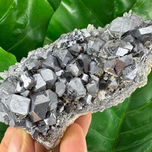 Amazing Galena with Quartz  from Krushev dol mine,Madan,Bulgaria,Mineral Specimen,Mineral Collection,Energy Crystal,N504