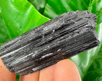 Raw Black Tourmaline Log: Mineral Specimen, Black Crystal Chunk