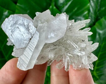 【鉱物商店】稀有品　両面の方解石　クリスタル　クォーツ クルシェフ・ドル鉱山産の素晴らしい方解石入りクォーツ、マダン