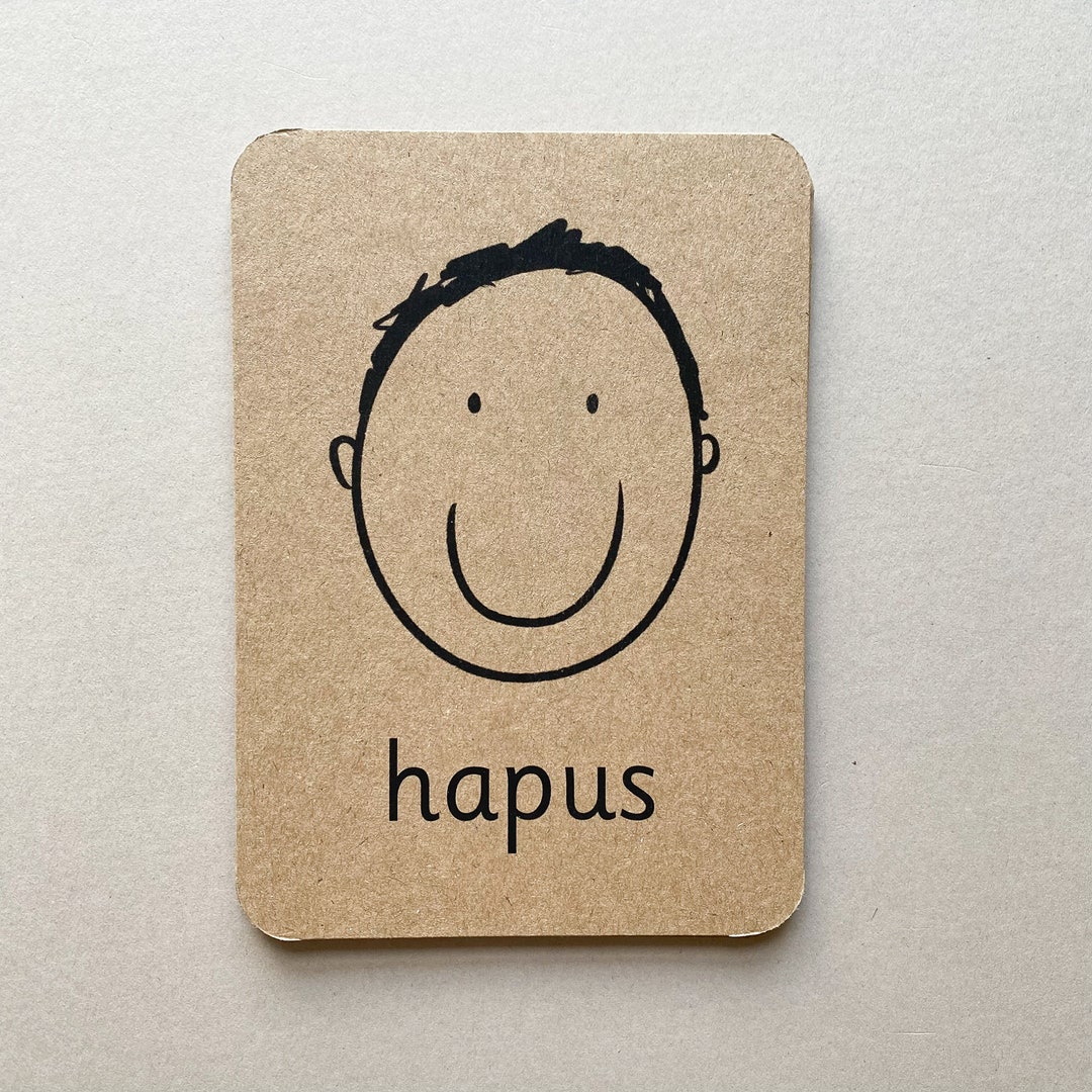 Welsh Emotion Flashcards Montessori Learning Resource Etsy