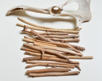 Get Strand treibholz wandkunst Free HD Strand Treibholz Wandkunst