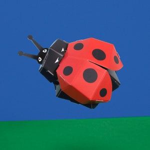 Crea la tua adorabile coccinella
