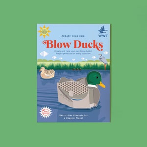 Create Your Own Blow Ducks image 2