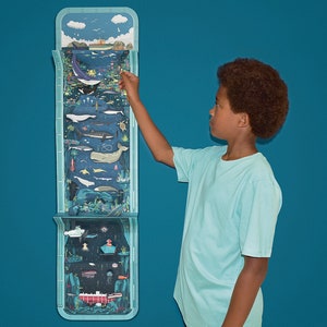 May include: A blue and white illustrated wall chart depicting a cross-section of the ocean, showing various sea creatures and marine life. The chart is divided into sections, each representing a different depth of the ocean. The chart is mounted on a wall, and a person is pointing to a section of the chart.