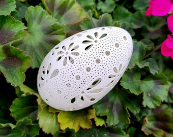 Cáscara de huevo tallada con encaje intrincado - Arte de huevo de ganso con finos detalles - Pieza de colección - Arte de concha de filigrana