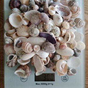 May include: A collection of various seashells in shades of white, beige, brown, and grey piled on a digital kitchen scale. The scale display shows a weight of 300 grams, with a maximum capacity of 5000 grams and a graduation of 1 gram.
