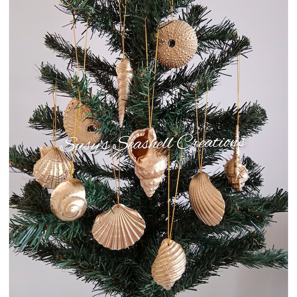 Seashell Christmas Ornaments - Etsy