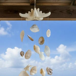 May include: A hanging seashell mobile with a starfish at the top. Various sizes and shapes of seashells are suspended from strings. The background shows a beach with blue ocean and sky.
