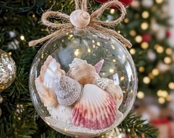 貝殻クリスマスオーナメント10個セット、ビーチオーナメント - 貝殻