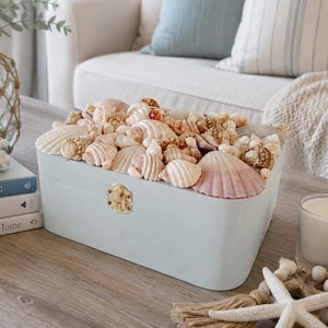 May include: A light blue rectangular storage box filled with an assortment of various seashells. The box features a gold-coloured metal latch on the front. The lid is open, displaying a collection of white, tan, and pink shells of different shapes.
