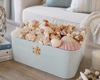Beach Decor Seashell Box - Seashell Box - Shell Jewelry Box - Trinket Box  - Mothers Day Gift - Gift - Valentine - Wooden Trinket Box