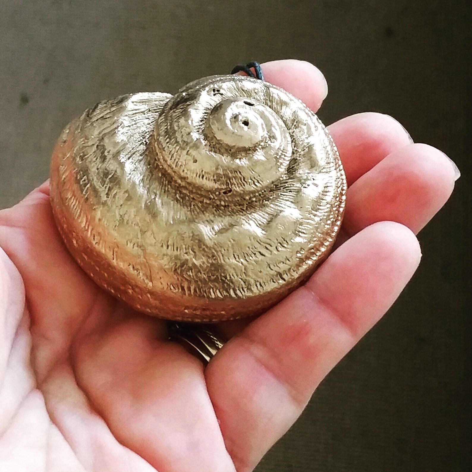 Ursula Inspired Real Shell Necklace and Earring Setursula Etsy