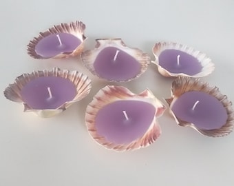 Hand Made Seashell Candles Seashells Candles  - Reusable Seashells - Beach Party - Decor - Wedding Decor - Gift