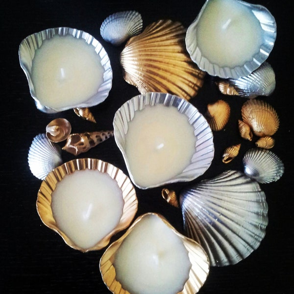 Seashell Candle Etsy