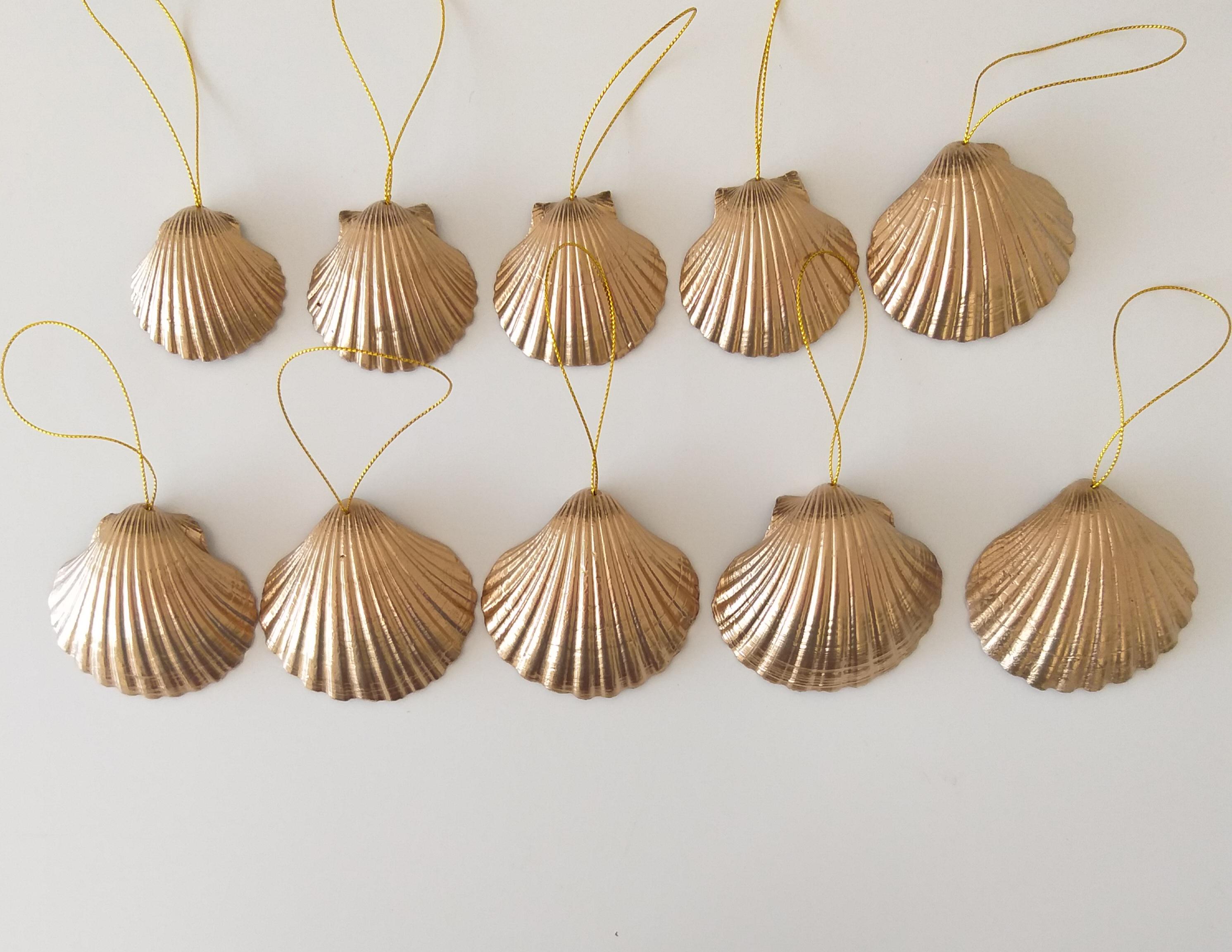 貝殻オーナメント ２点セット ご予約品 貝殻オーナメント 2点セット ご予約品 【公式通販】