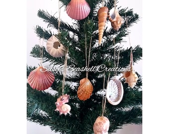 10 Seashell Christmas Ornament, Set of 10, Beach Christmas Tree Ornament, Beach Ornament - Set of 10 Natural Shell Christmas Ornament