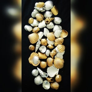 May include: A collection of seashells painted in gold and silver colors. The shells are arranged in a random pattern on a black background.