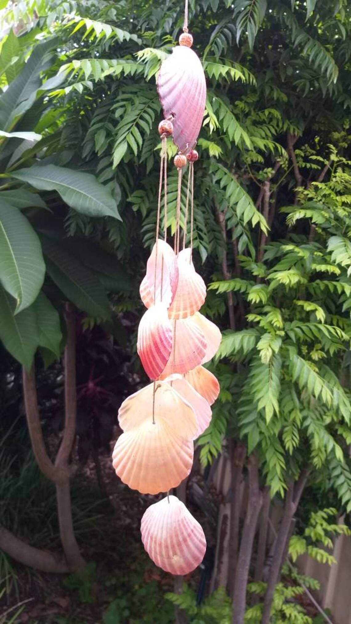 DIY Seashell Wind Chime Windchime Kit Garden Decor Wall Etsy