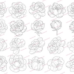 100 Peony Tattoo Stamps for Procreate | Flowers Leaves Tattoo Brushes ...
