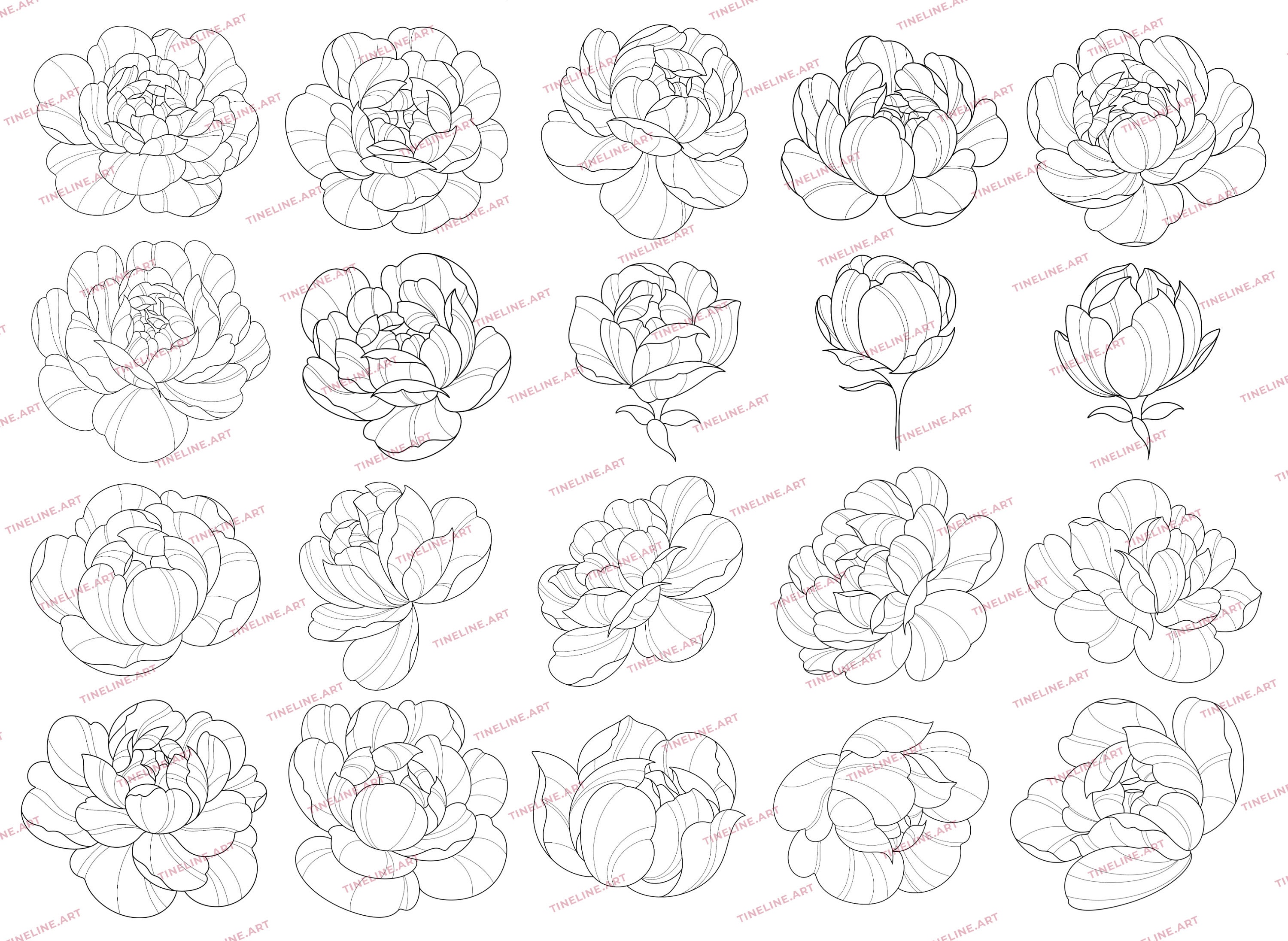 100 Peony Tattoo Stamps for Procreate | Flowers Leaves Tattoo Brushes ...