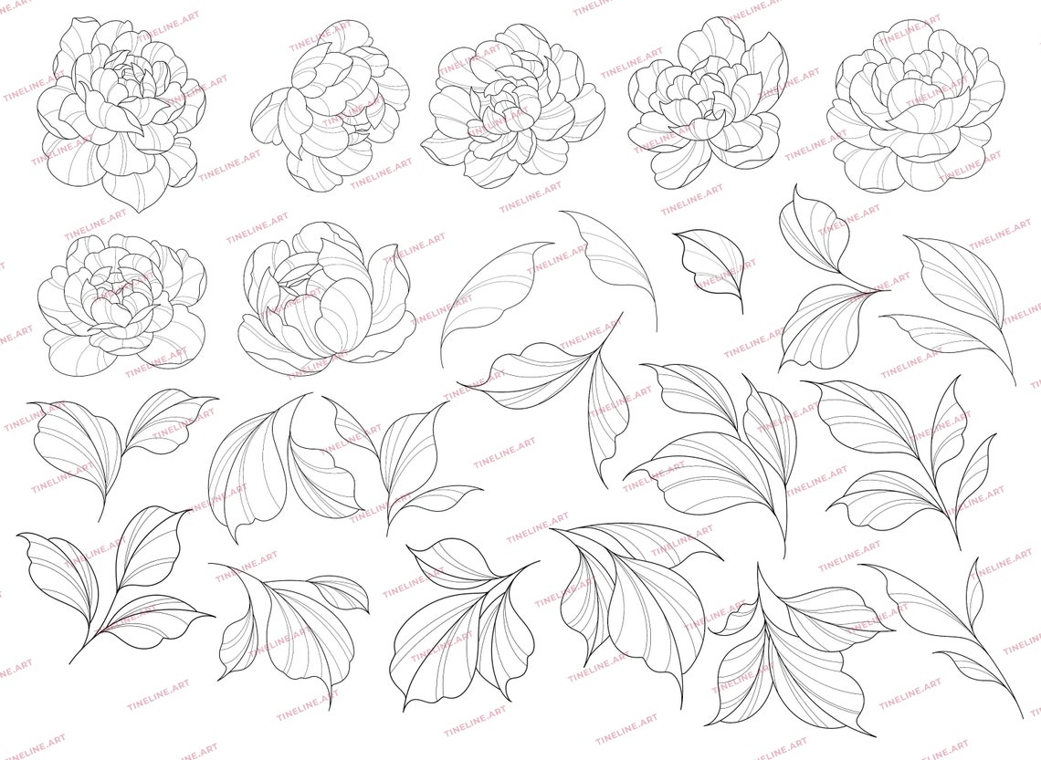 100 Peony Tattoo Stamps for Procreate | Flowers Leaves Tattoo Brushes ...