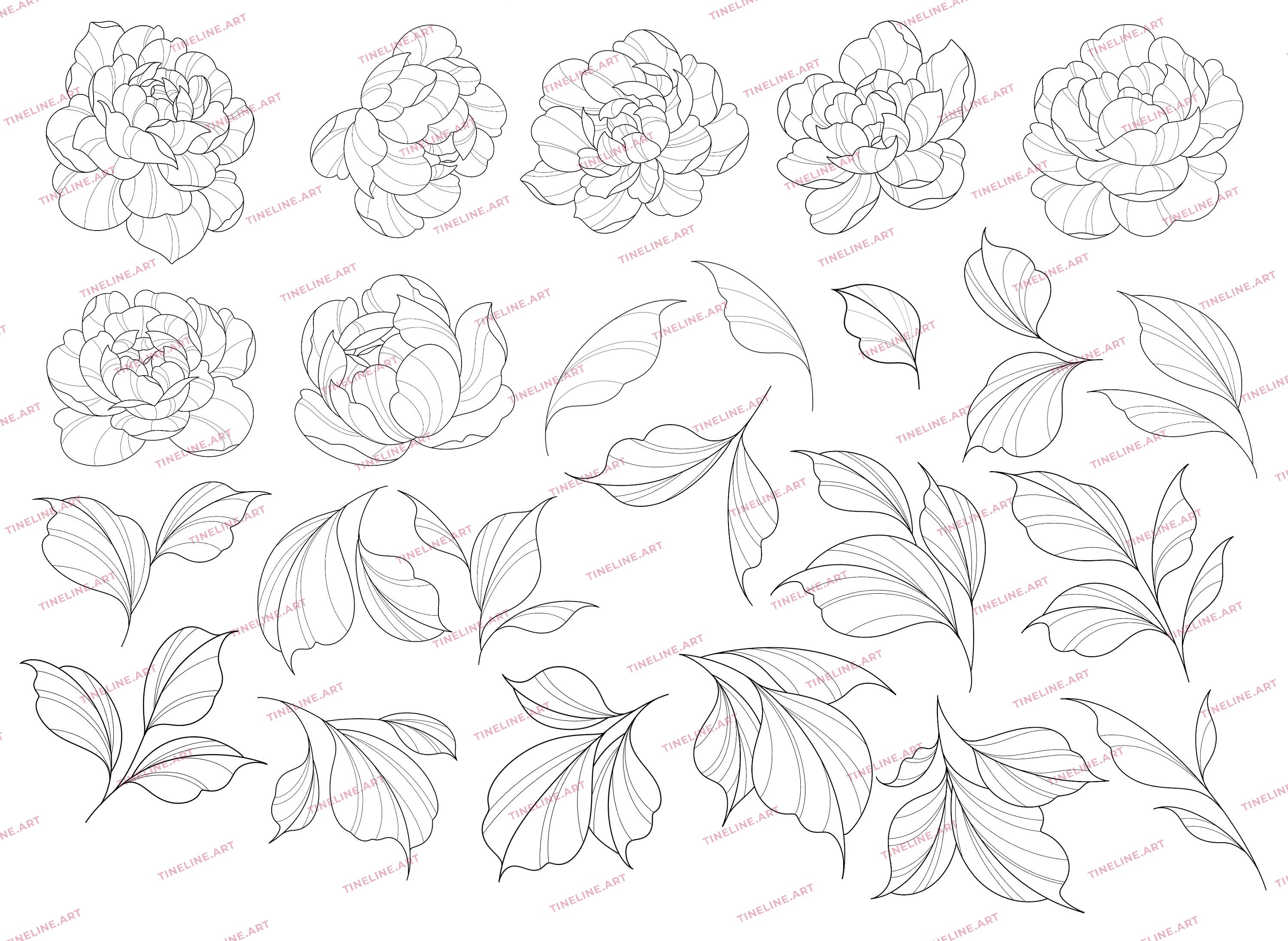 100 Peony Tattoo Stamps for Procreate | Flowers Leaves Tattoo Brushes ...