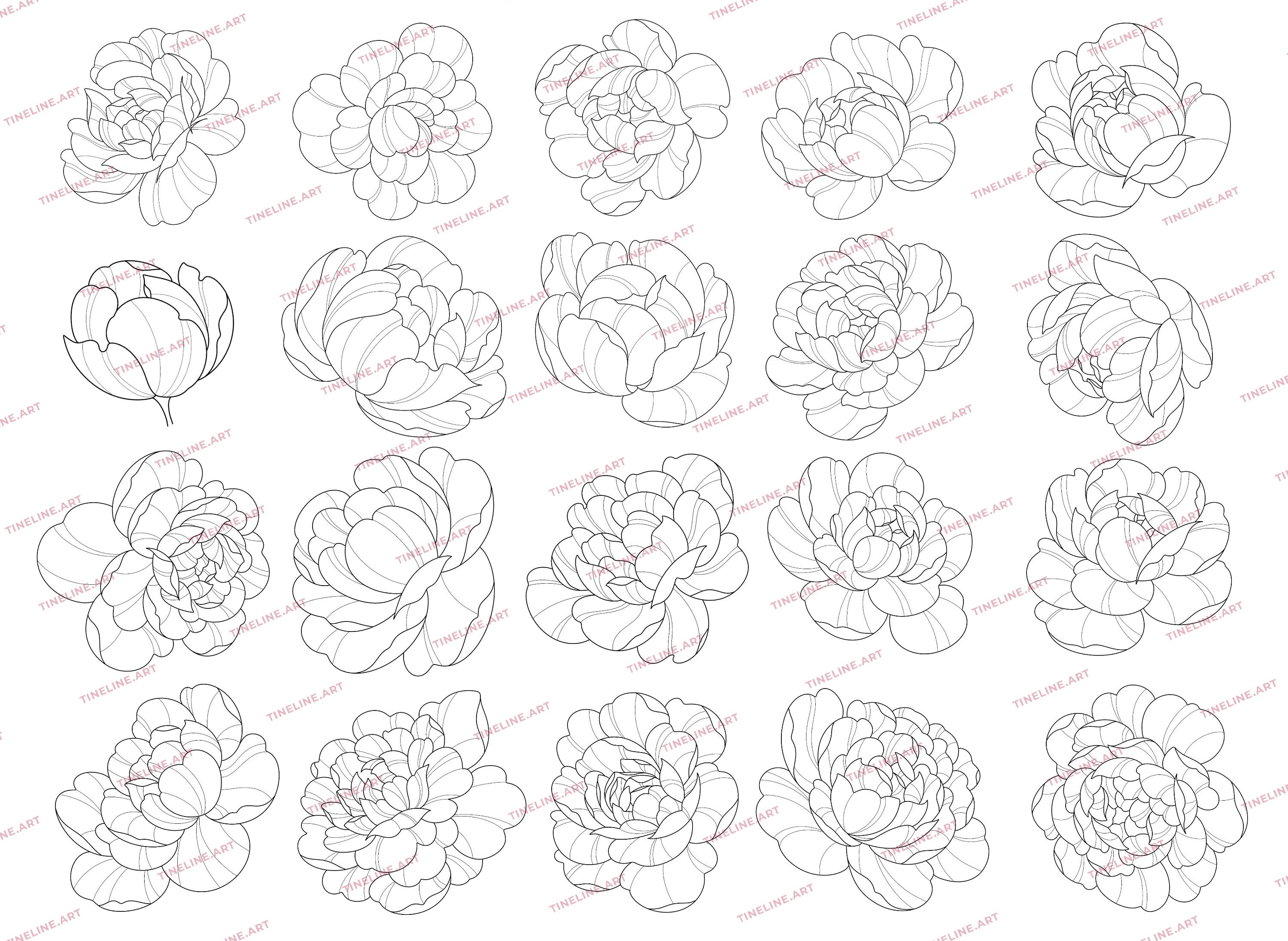100 Peony Tattoo Stamps for Procreate | Flowers Leaves Tattoo Brushes ...