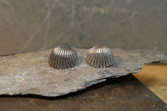 Silver earrings// hand made // silver 925 // shell earrings// sea earrings // woman fashion // natural style