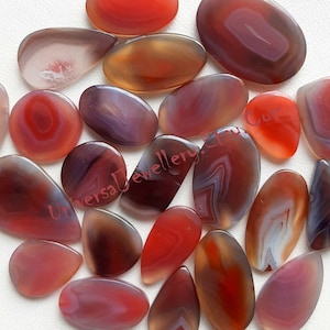 Puede incluir: Una colección de piedras preciosas de ágata pulidas en varias formas. Las piedras muestran una gama de colores, incluyendo rojo, marrón y blanco, con patrones de bandas naturales. Las piedras preciosas tienen formas ovaladas, de lágrima e irregulares, adecuadas para la fabricación de joyas o coleccionar.