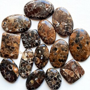 Pode incluir: Uma cole&ccedil;&atilde;o de 13 caboch&otilde;es de &aacute;gata marrom e preto com um padr&atilde;o &uacute;nico de cores e formas em espiral. Os caboch&otilde;es s&atilde;o de forma oval e retangular e s&atilde;o perfeitos para a fabrica&ccedil;&atilde;o de joias.