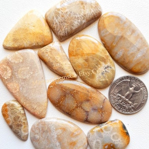 Fossil Coral Cabochon, Wholesale Lot Fossil Coral Cabochon By Weight With Different Shapes And Sizes Used For Jewelry Making