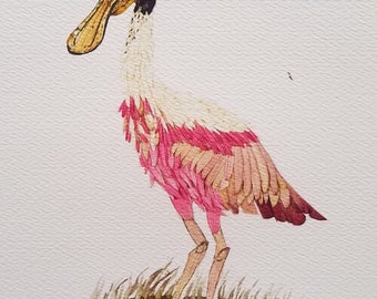 Spoonbill Print in Watercolor