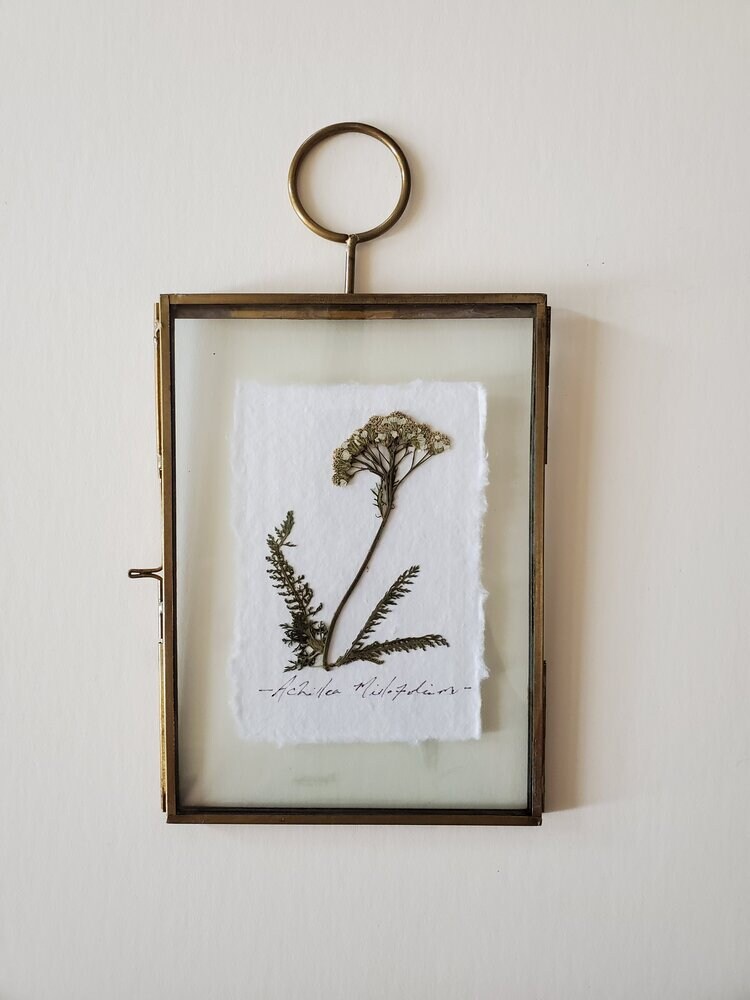 Brass Frame Loop Etsy