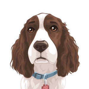 Stylized Pet Portrait image 8