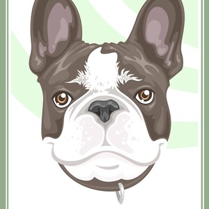 Stylized Pet Portrait